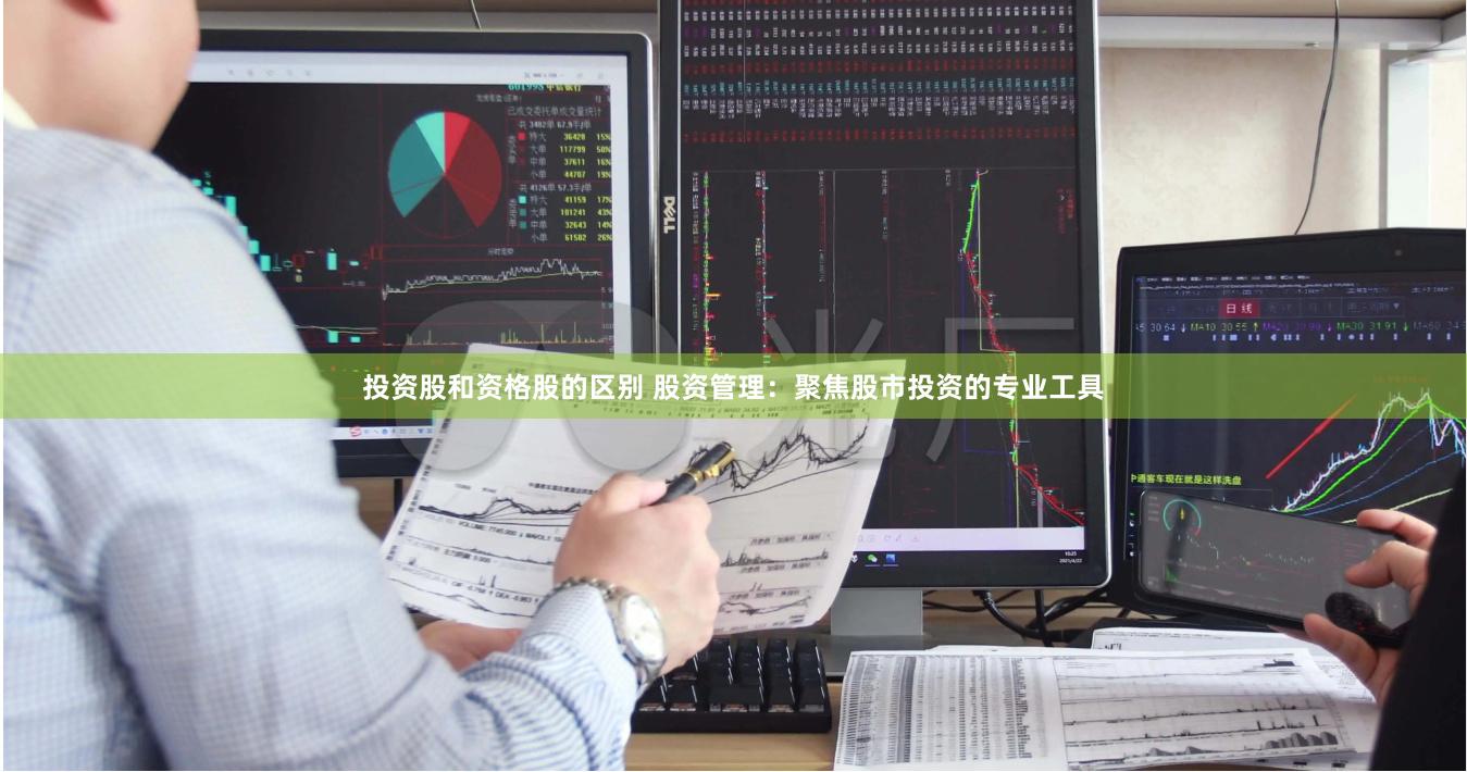 投资股和资格股的区别 股资管理：聚焦股市投资的专业工具